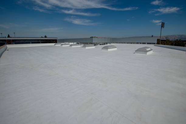 Best Roof Waterproofing  in Pinehurst, ID